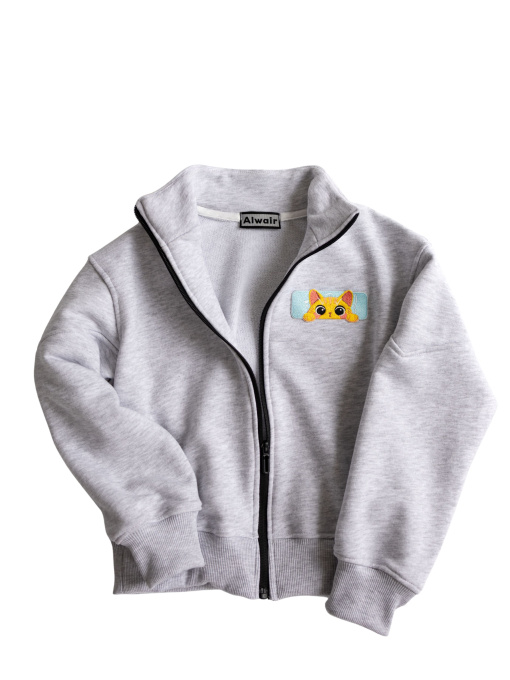 Худи и свитшоты Alwair Kids модель 81132 Фото