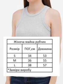 Футболки і поло HiBrand модель Wm317 Фото