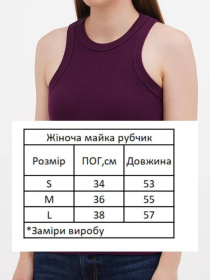 Футболки і поло HiBrand модель Wm320 Фото