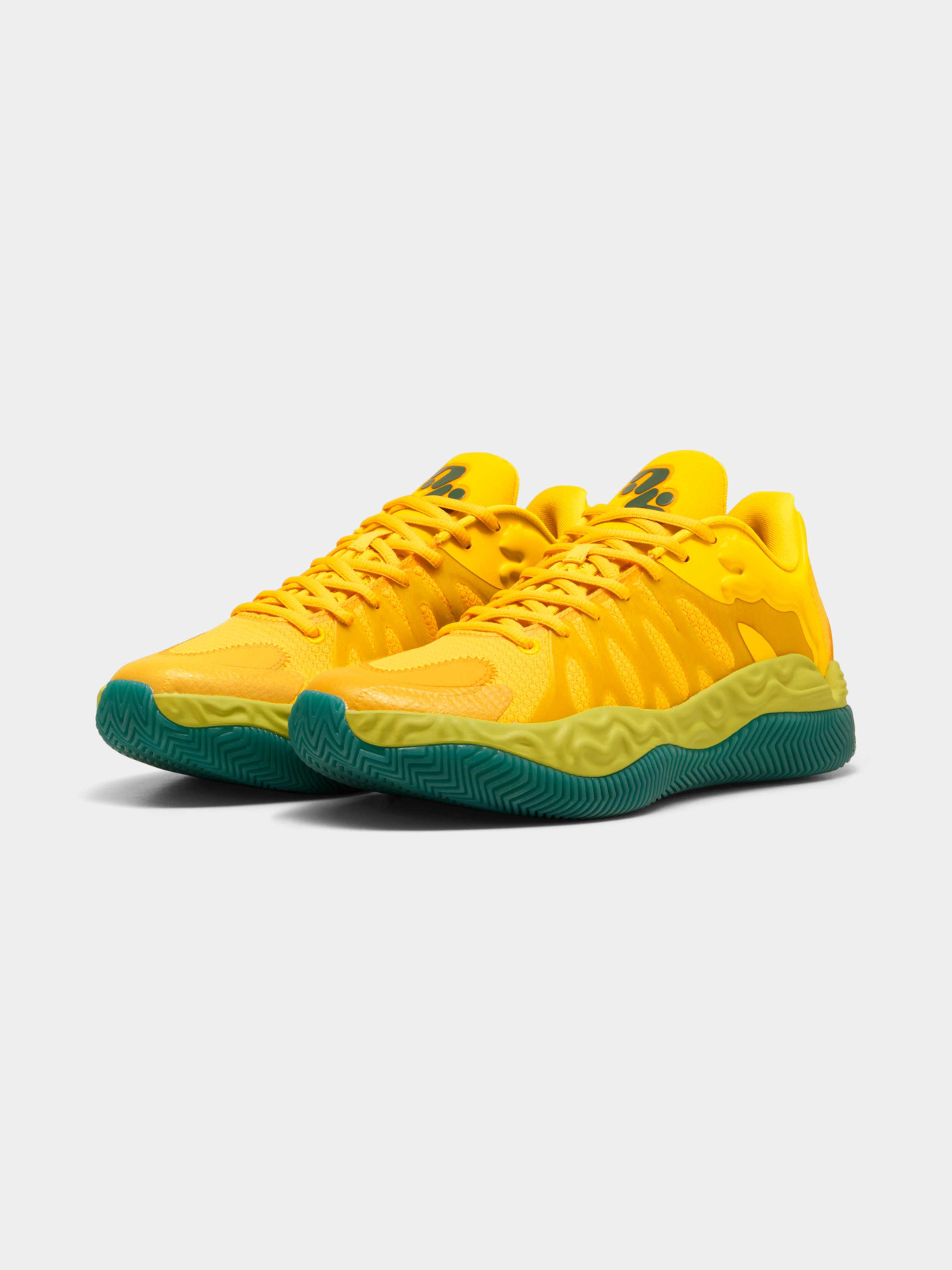 Кросівки PUMA Hali 1 модель 313454 Фото