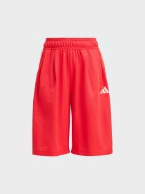 Шорти Adidas модель KD3409 Фото