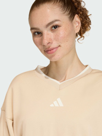 Худи и свитшоты Adidas модель JY6969 Фото