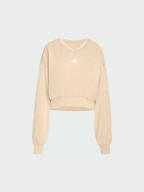Худи и свитшоты Adidas модель JY6969 Фото