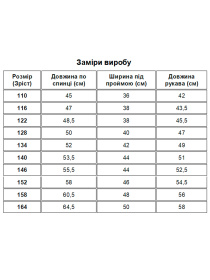 Вышиванки Folk Moda модель fm3097-blij Фото