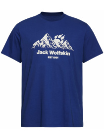 Футболки і поло Jack Wolfskin модель A66090_T0464 Фото