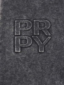 Худі та світшоти PRPY модель PMSPRGGOK0038 Фото