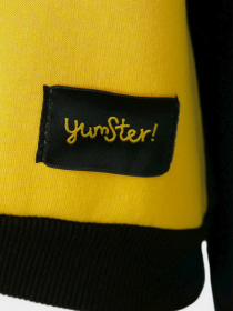 Худи и свитшоты YUMSTER модель YC.02.09.004-G Фото