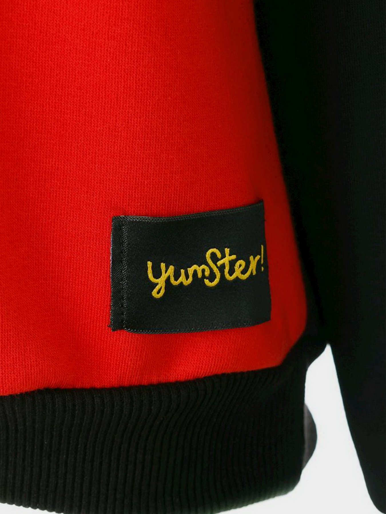 Худи и свитшоты YUMSTER модель YC.02.09.005-G Фото