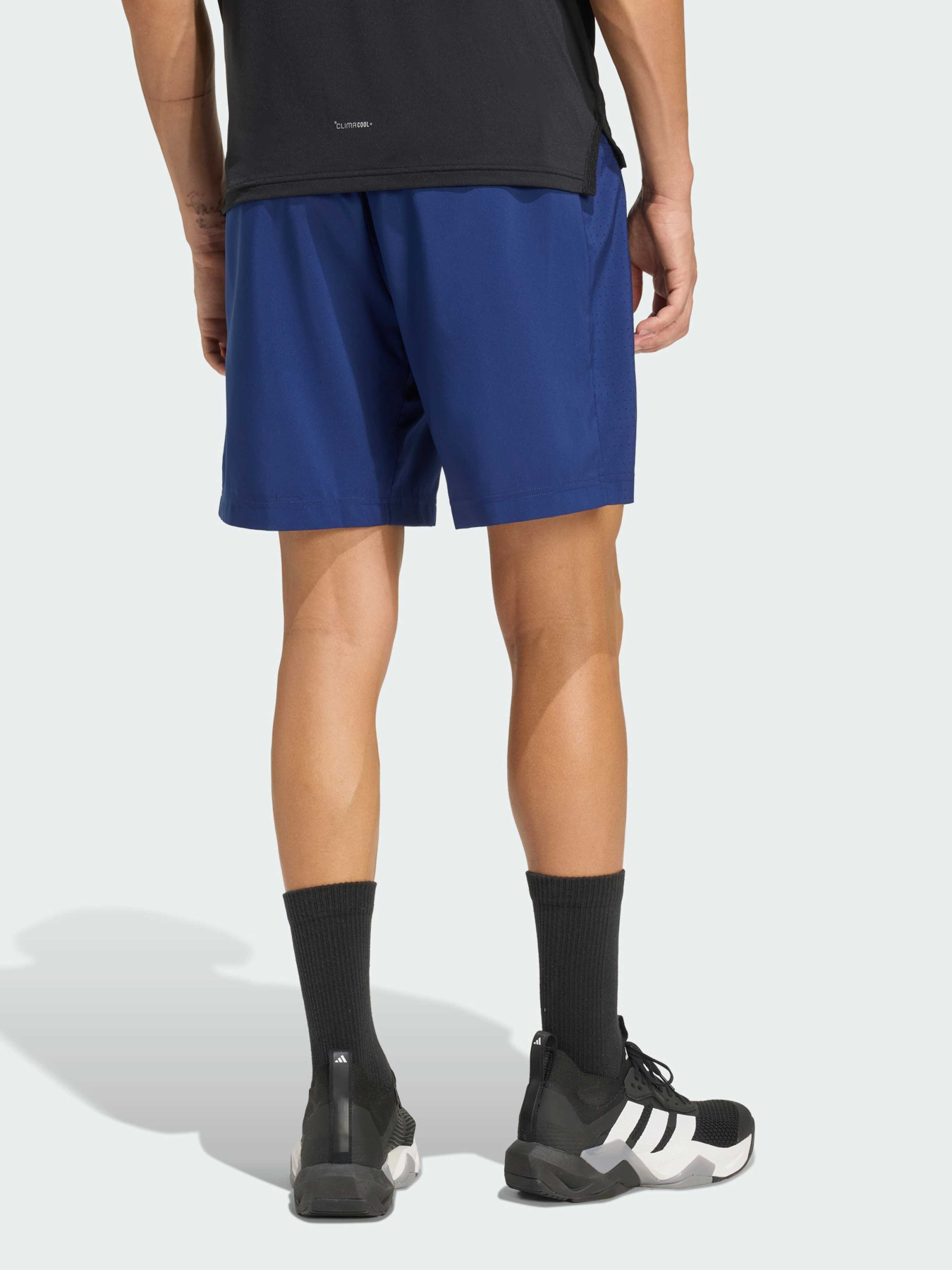 Шорты Adidas Adidas Essentials модель KD2947 Фото