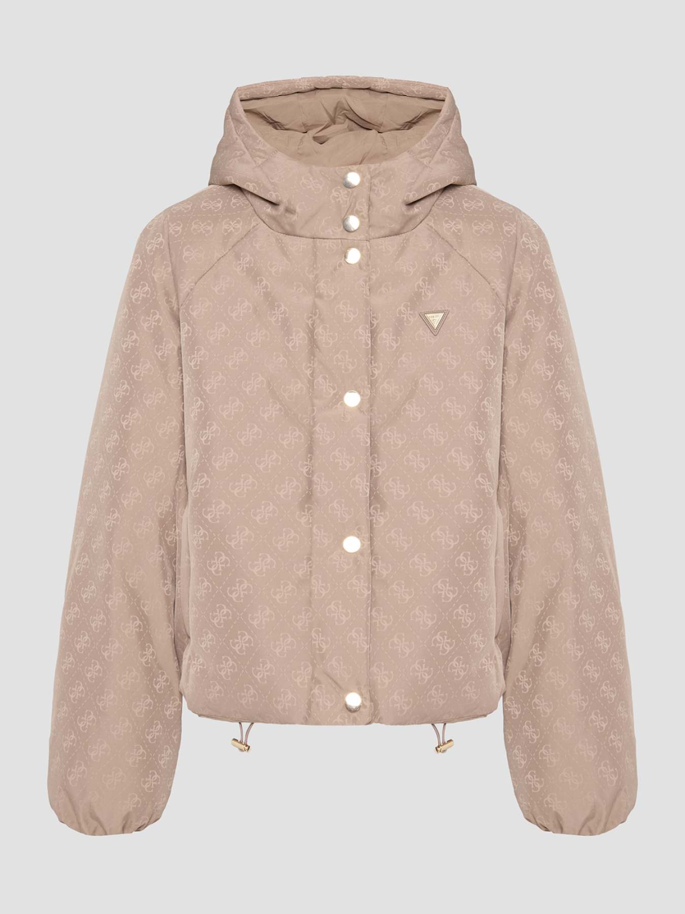 Куртки и дубленки GUESS модель V5BL07.WGLW2;FNGX Фото