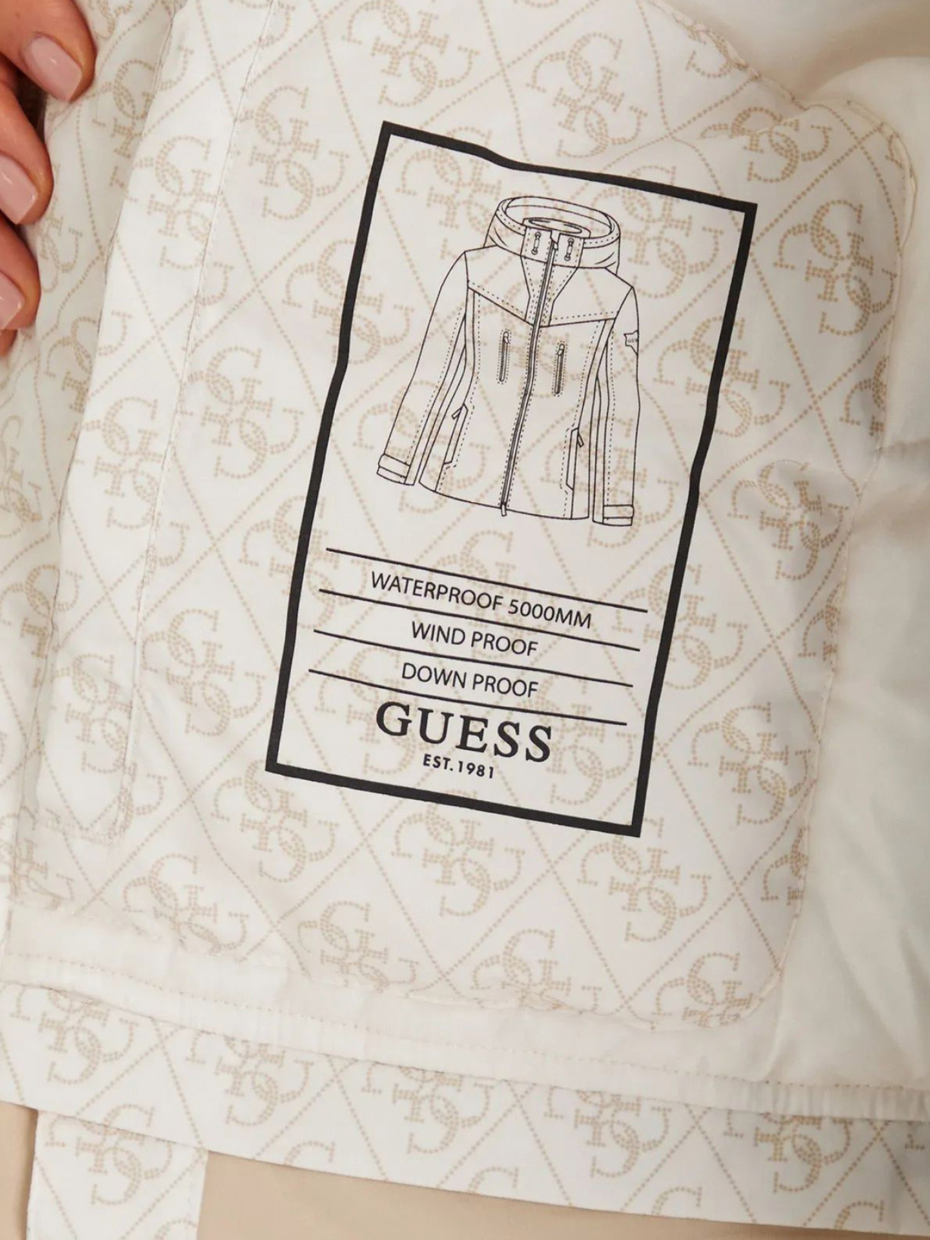 Куртки та дублянки GUESS модель W5BL77.W3272;P0OA Фото