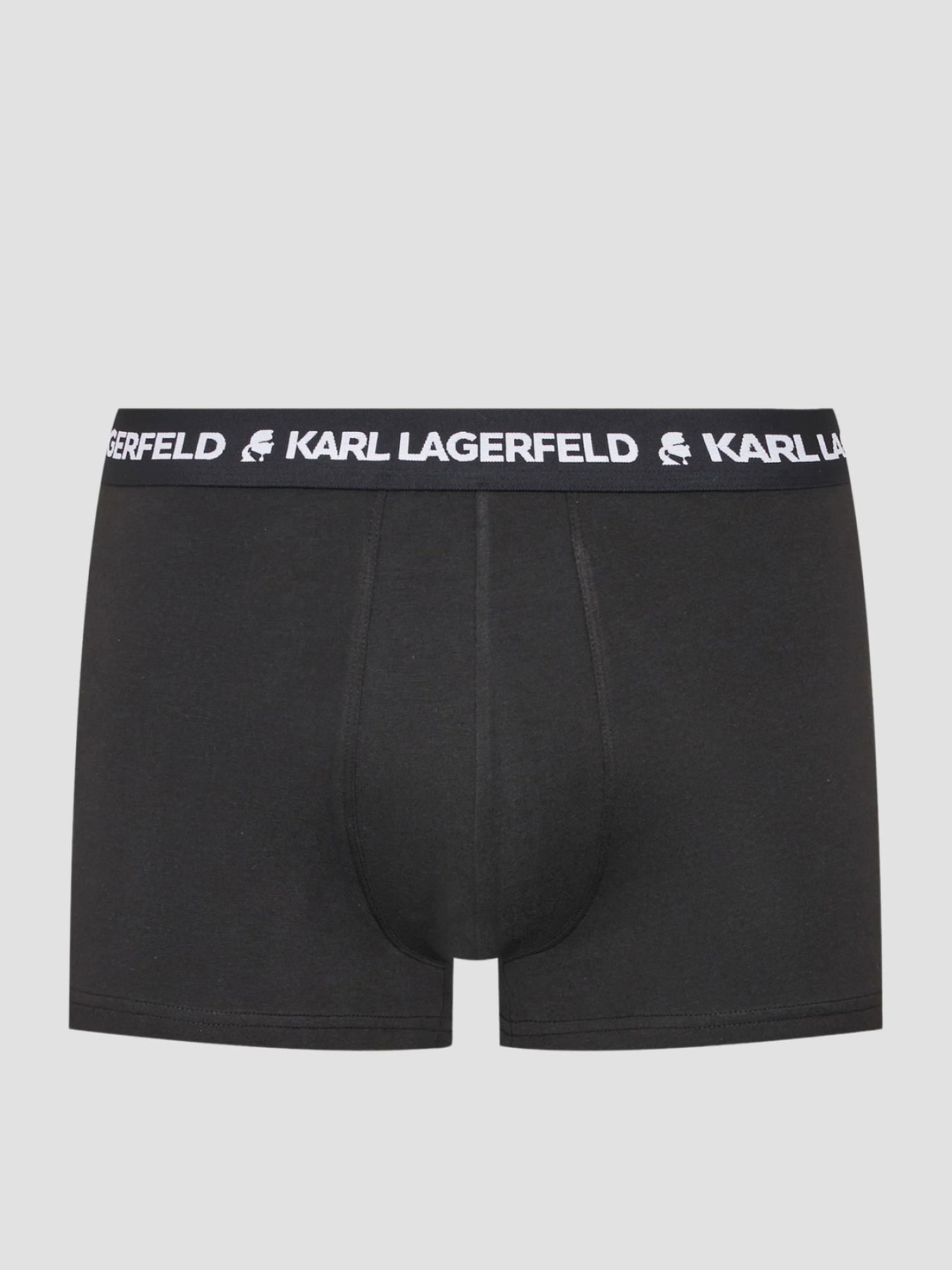 Нижня білизна Karl Lagerfeld модель 220M2125;999 Фото