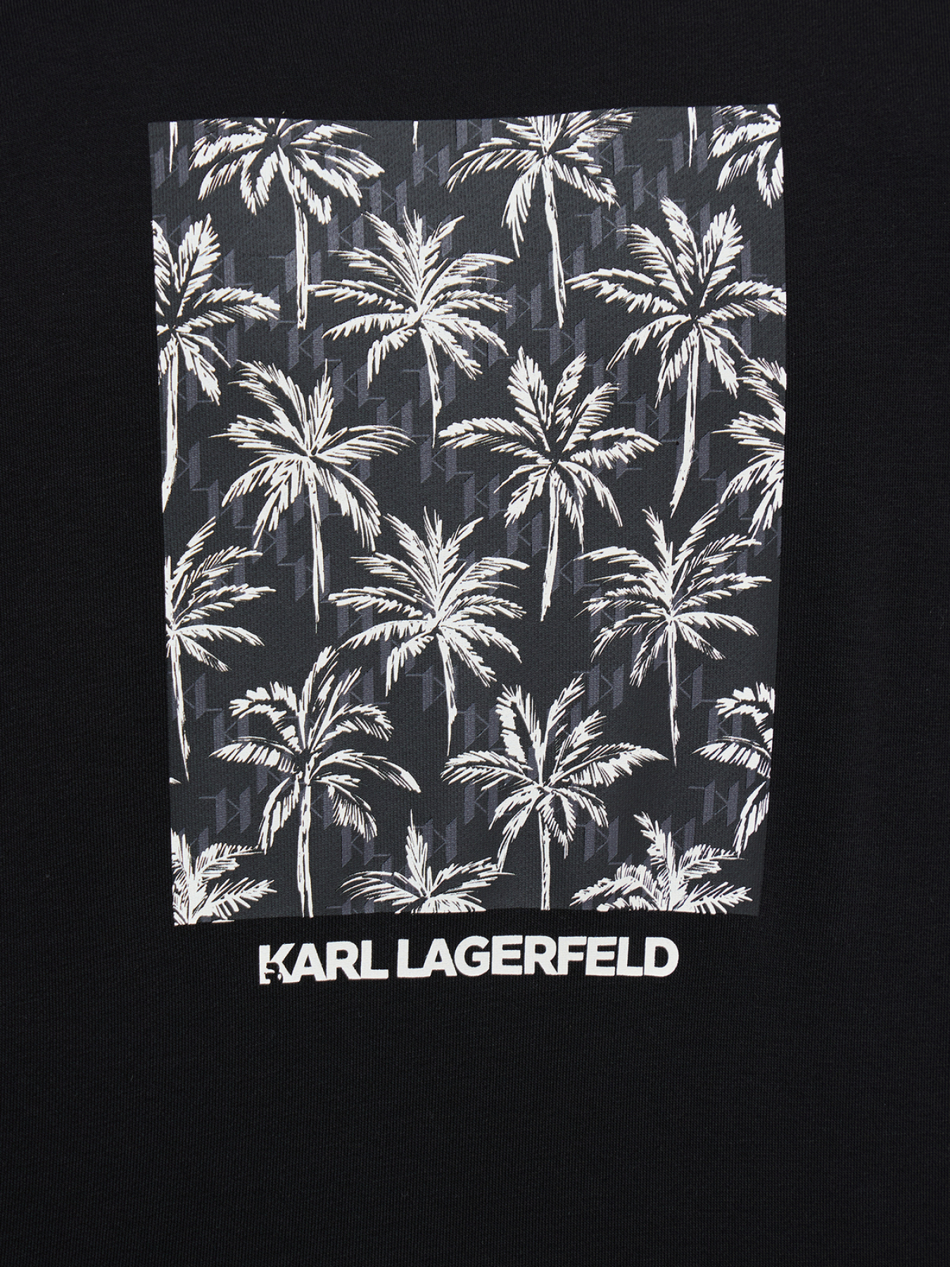 Худі та світшоти Karl Lagerfeld модель 562900.705011;990 Фото