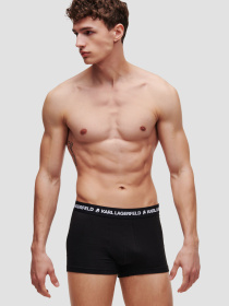 Нижня білизна Karl Lagerfeld модель A1M47086;1QI Фото