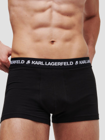 Нижня білизна Karl Lagerfeld модель A1M47086;1QI Фото