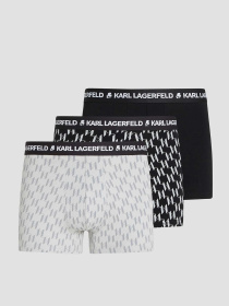Нижня білизна Karl Lagerfeld модель A1M47086;1QI Фото