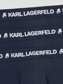 Нижня білизна Karl Lagerfeld модель A1M47151;338 Фото
