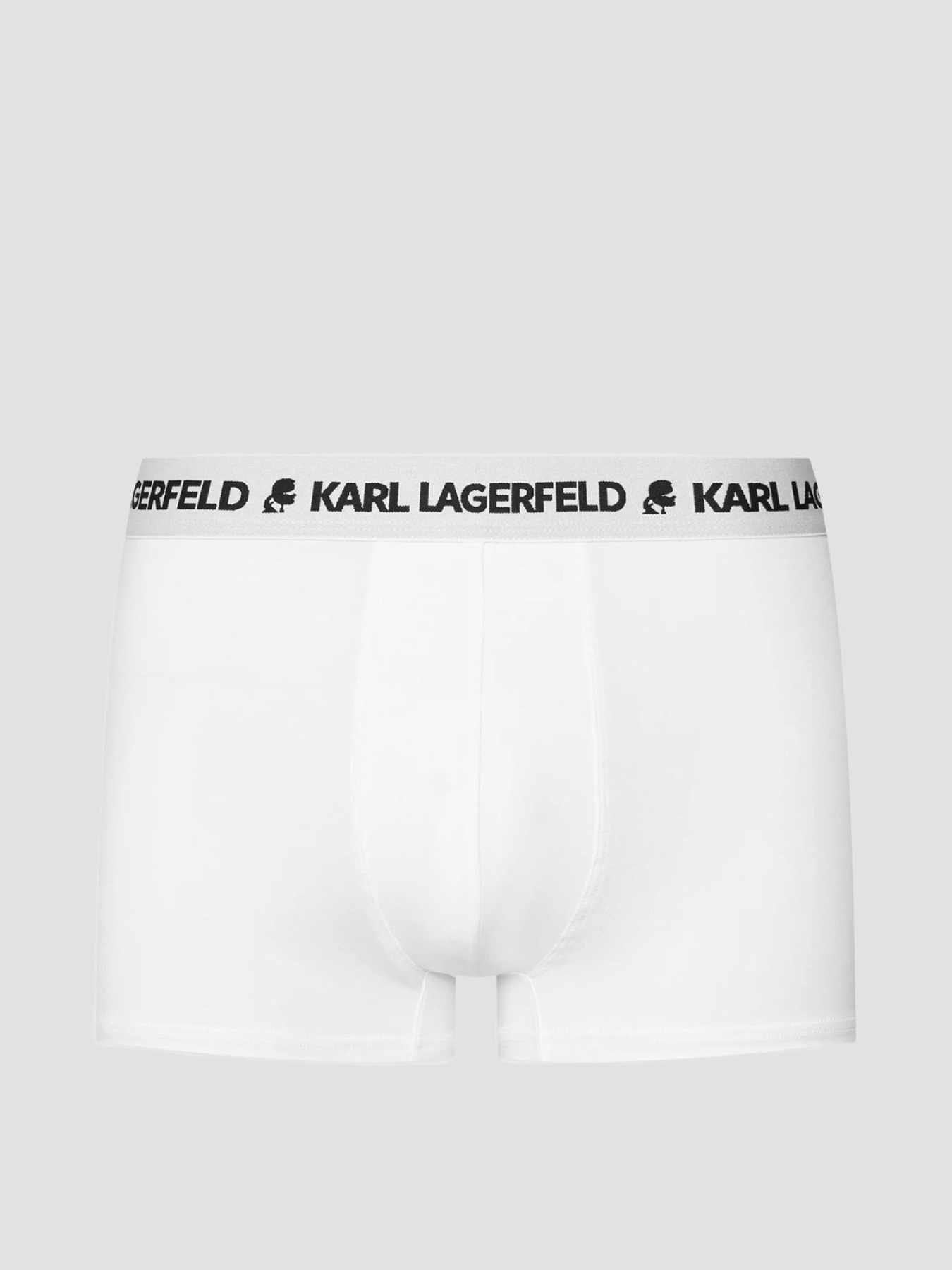 Нижнее белье Karl Lagerfeld модель A1M47151;900 Фото