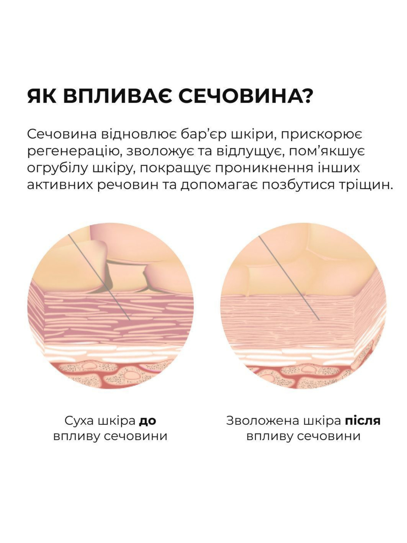 Набір для підготовки шкіри та рівномірної засмаги Hillary Skin Prep & Even Tan Set Hillary модель K-11-008 Фото