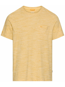 Футболки и поло Camel Active T-shirts 1/2 sleeves модель 409700-7T24-64 Фото