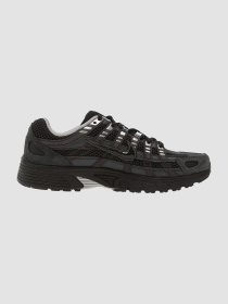 Кросівки NIKE P-6000 Se Chrome модель HF0015-002 Фото