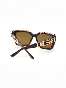Очки GUESS модель E0000414648 Фото