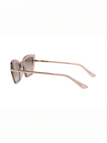 Очки GUESS модель E0000522799 Фото