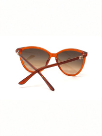 Очки GUESS модель E0000543854 Фото