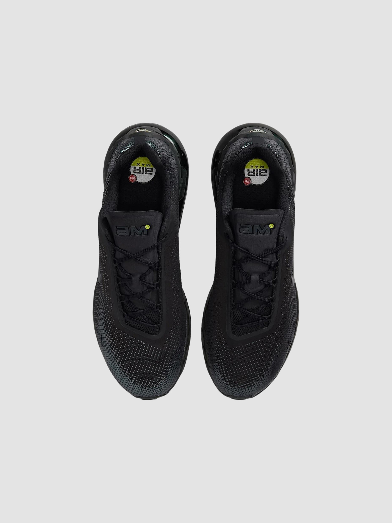 Кроссовки NIKE Air Max Phoenix модель FZ5307-004 Фото