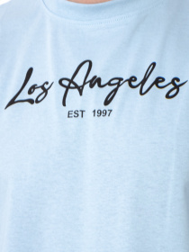 Футболки и поло Носи своє модель 8383-001-33-1-sro-blakitnij-los-angeles Фото