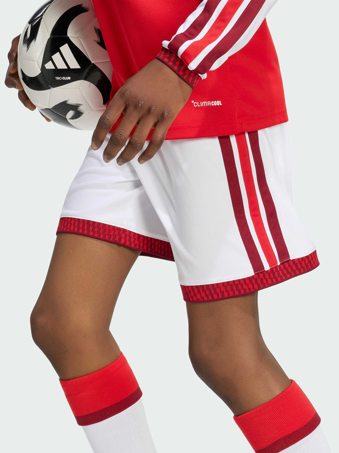 Шорты Adidas модель KB9941 Фото